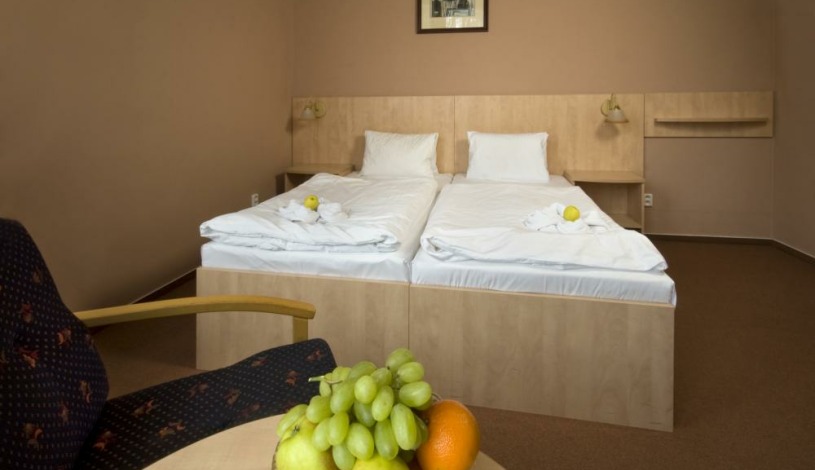 Lázeňský hotel Metropol Spa & Kurhotel Františkovy Lázně - Standard 1/2